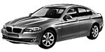 BMW F10 P1AE1 Fault Code